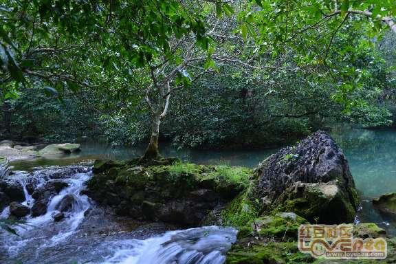 “花少5”靠野生状态出圈?节目组的玩法